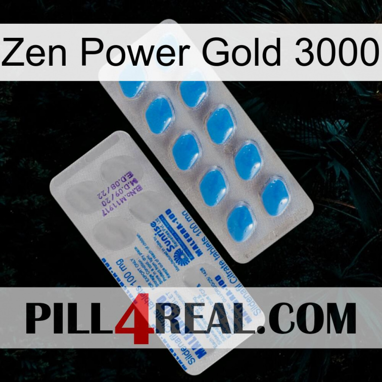 Zen Power Gold 3000 new15